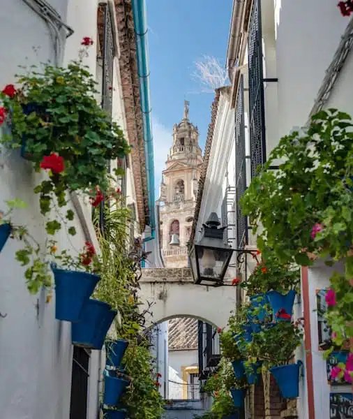 Calleja de las Flores