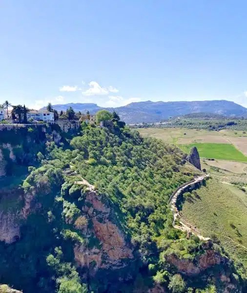 Meadows in Ronda